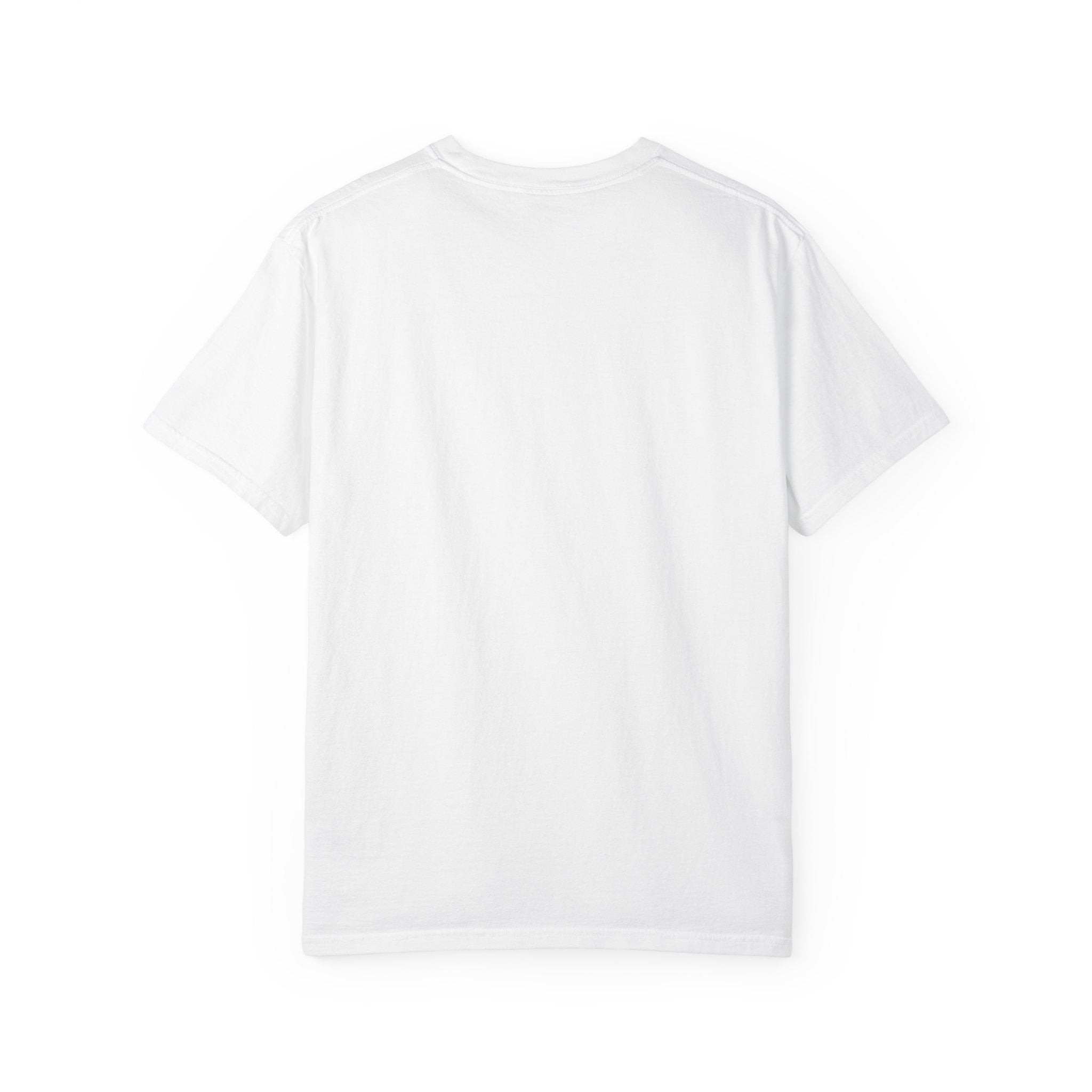 United States 250 Anniversary T-shirt | 1776-2026